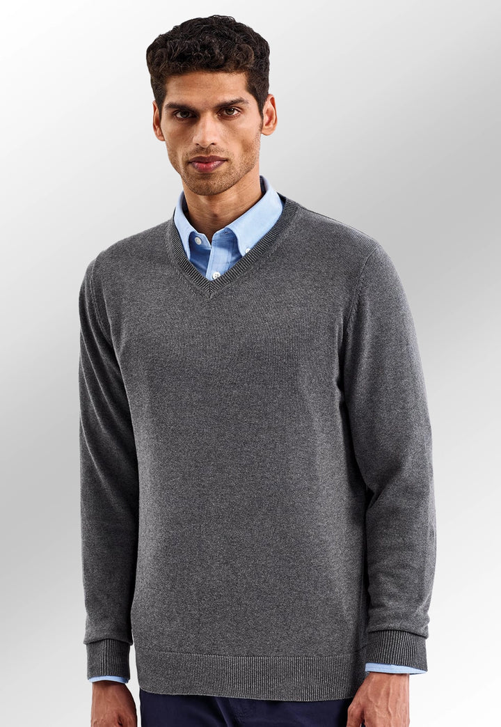 Men's Cotton Blend V-Neck Sweater