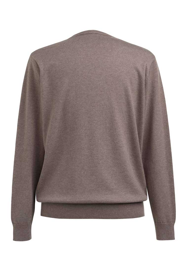 Berlin Marino Wool V-Neck Jumper 4566 in taupe back view 