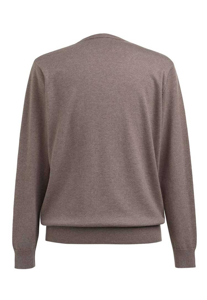 Berlin Marino Wool V-Neck Jumper 4566 in taupe back view 