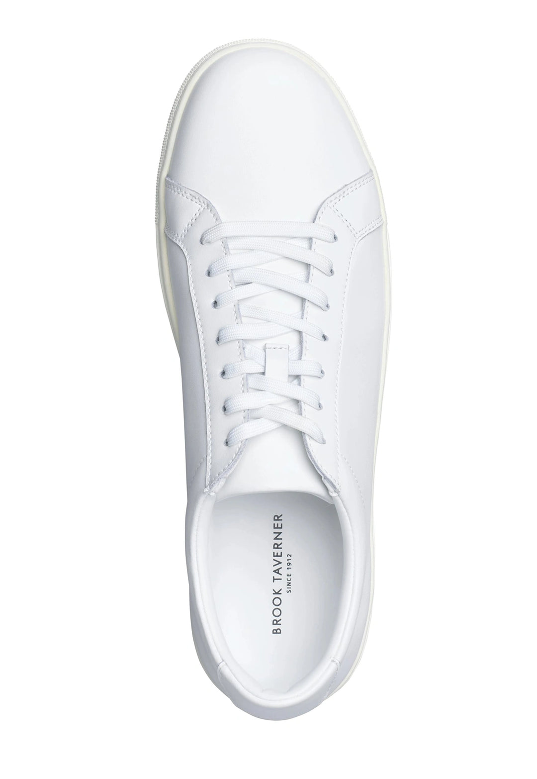 Hixon & Elsa Trainer (White) Top view.