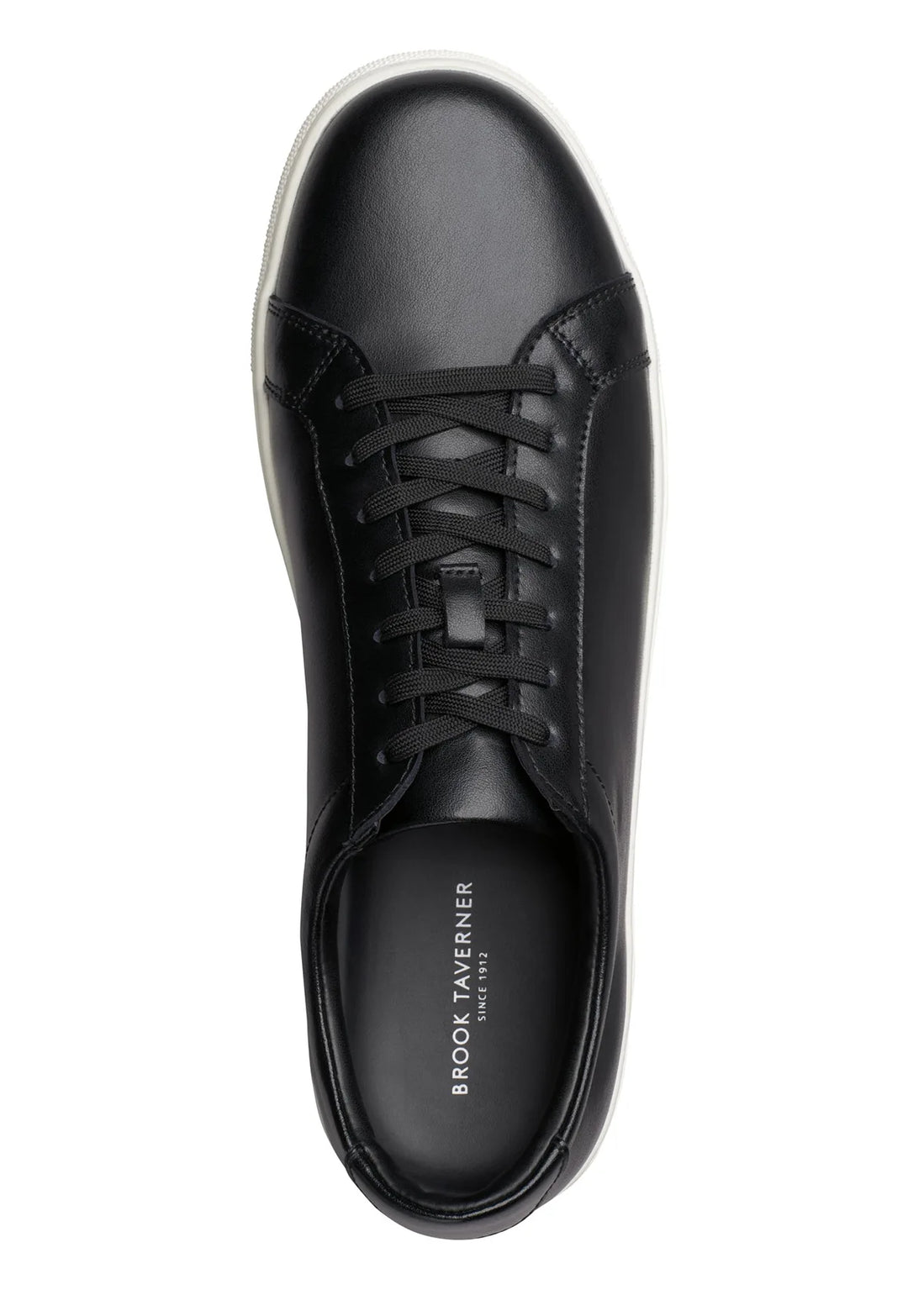 Above view of the Brook Taverner Hixon / Elsa Trainers (Black).