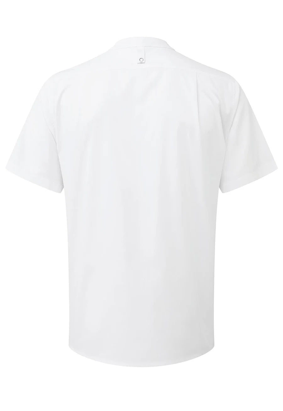 Rear view of the Chef's 'Recyclight' Short Sleeve Shirt PR904 in White.