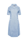 NCLD - Green or Blue White Striped Nurse Dress - The Work Uniform Company