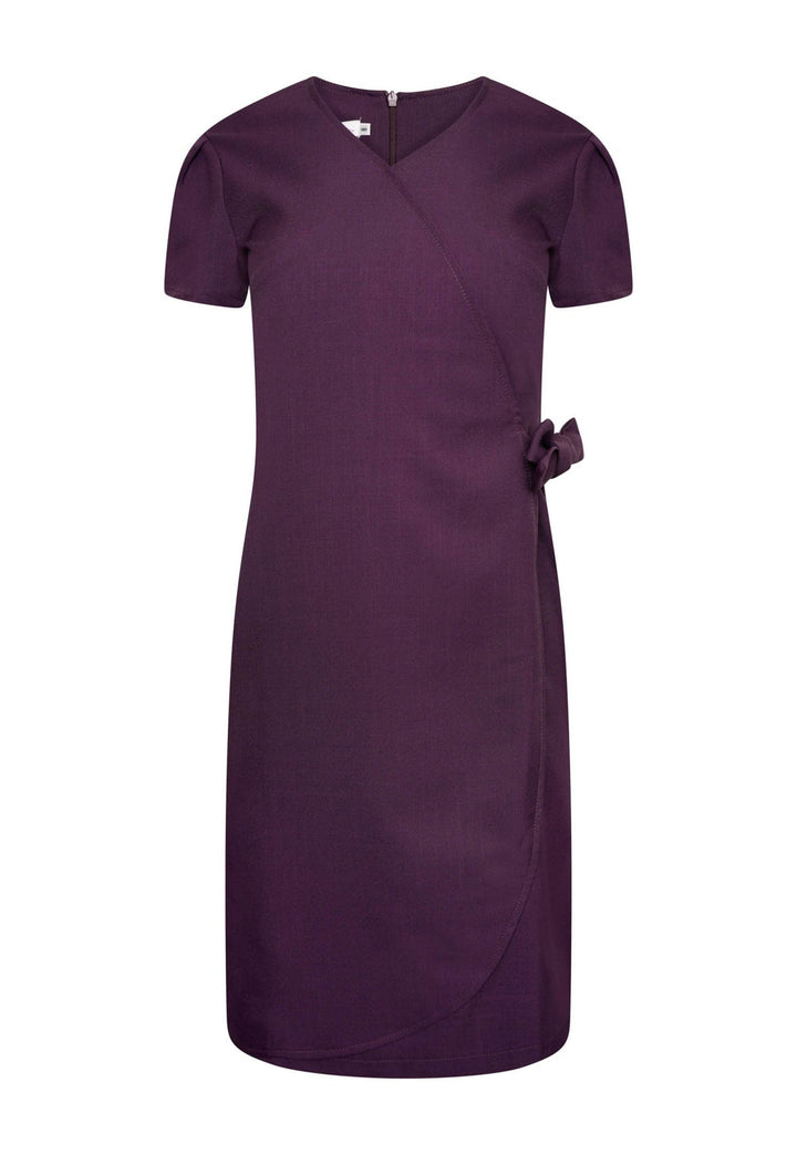 Elena Wrap Over Salon Dress in Plum