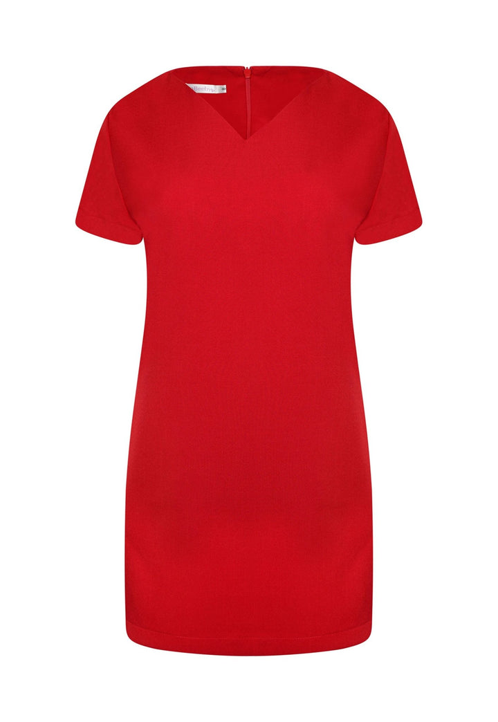 Lena V Neck Beauty Tunic with Pockets in Red