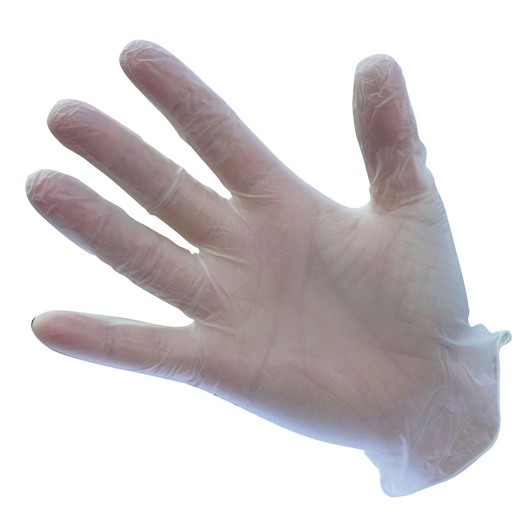 Powdered Vinyl Disposable Glove A900 in Clear (Box of 100)